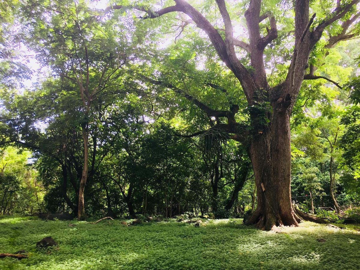 Finca Del Sol Eco Lodge Santa Cruz Ngoại thất bức ảnh